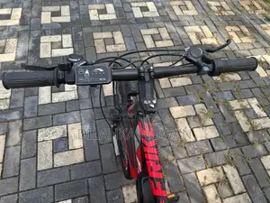 Electric Bicycles
