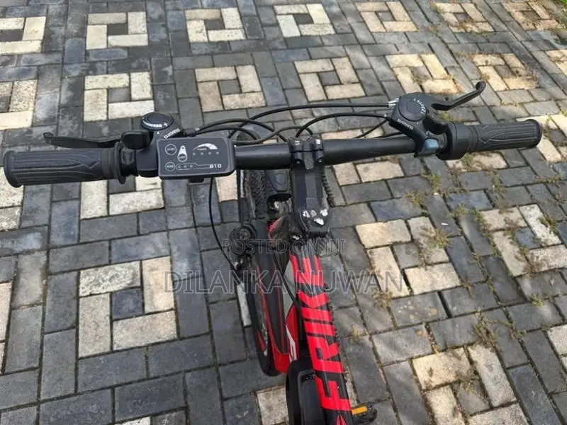 Electric Bicycles