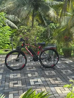 Electric Bicycles
