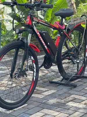 Electric Bicycles