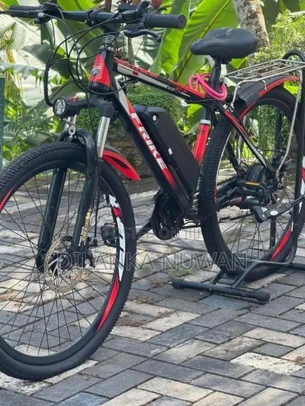 Electric Bicycles