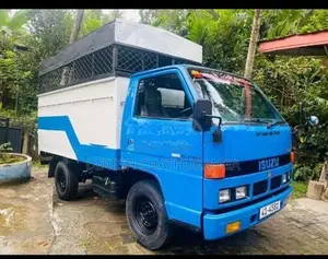 Isuzu Elf 1991