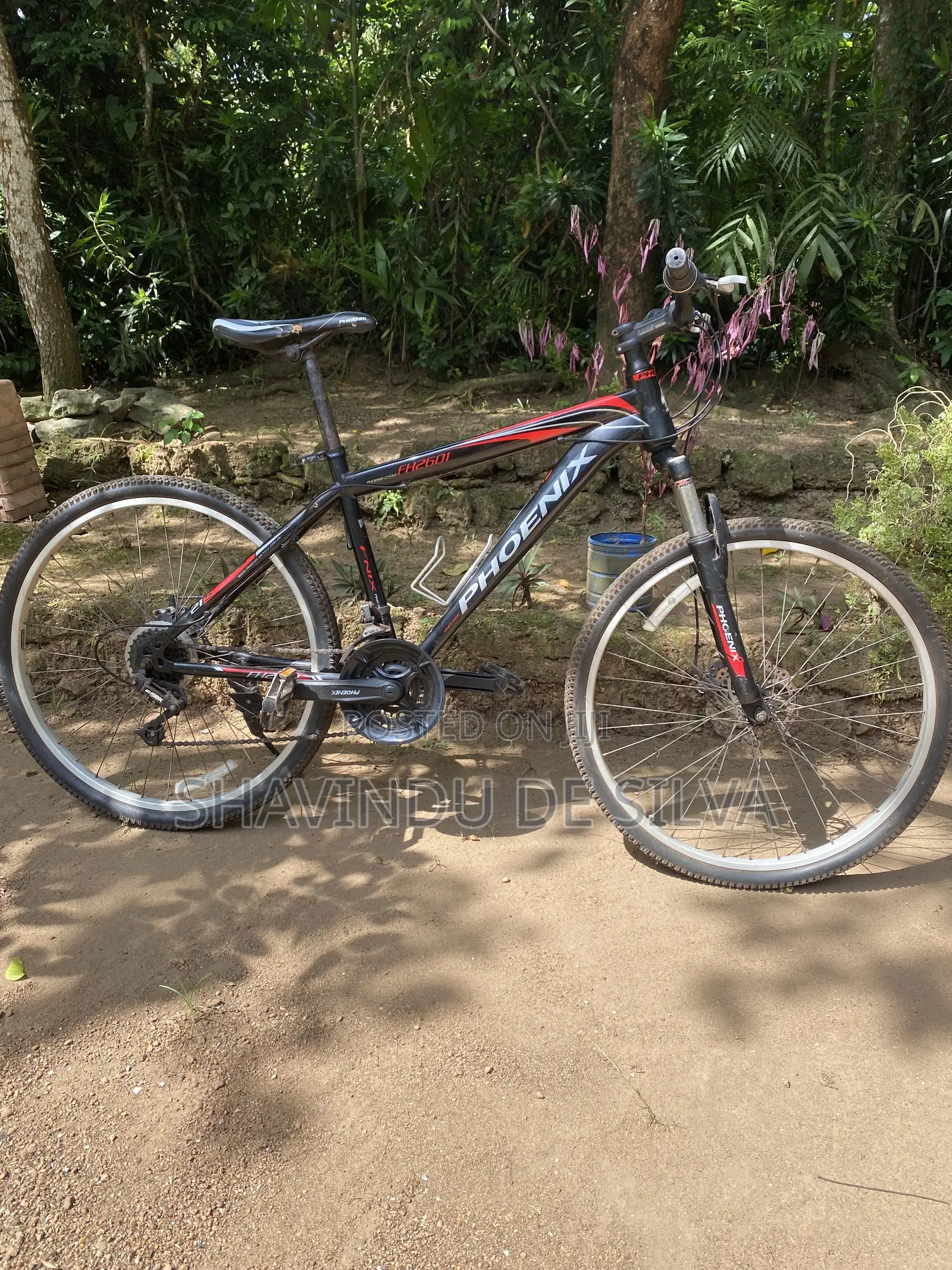 Mountain Bike