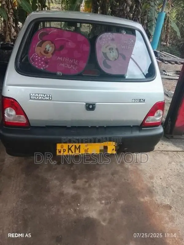 Maruti Suzuki 800 2011