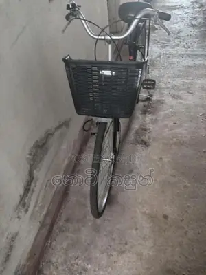 Bicycle