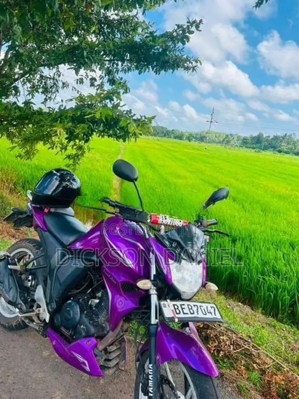 Yamaha FZs V2 2016