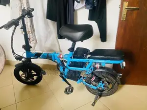Electric Bicycle
