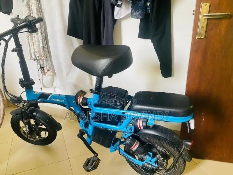 Electric Bicycle