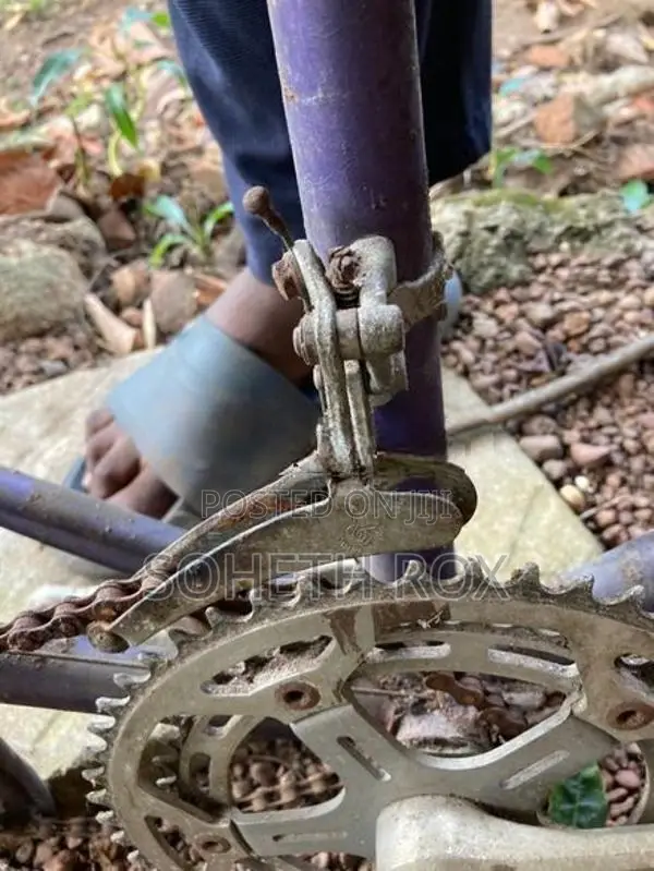 Bicycle for Parts