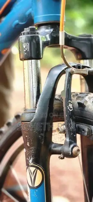 Silverback Spyke Bicycle