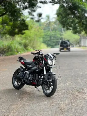 Bajaj Pulsar NS200 2025