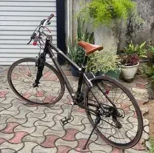 Giant Cross 2 Bicycle