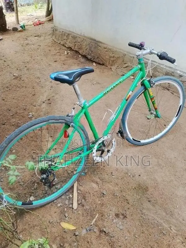 Racing Bicycle