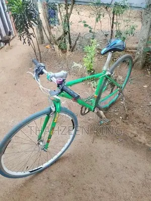 Racing Bicycle