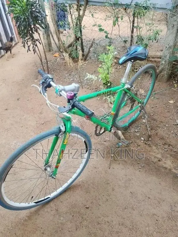 Racing Bicycle