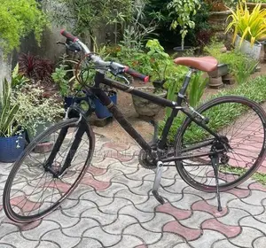 Giant Cross 2 Bicycle