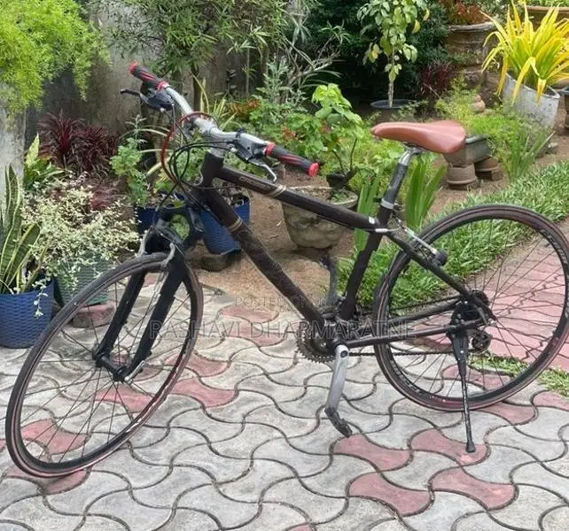 Giant Cross 2 Bicycle