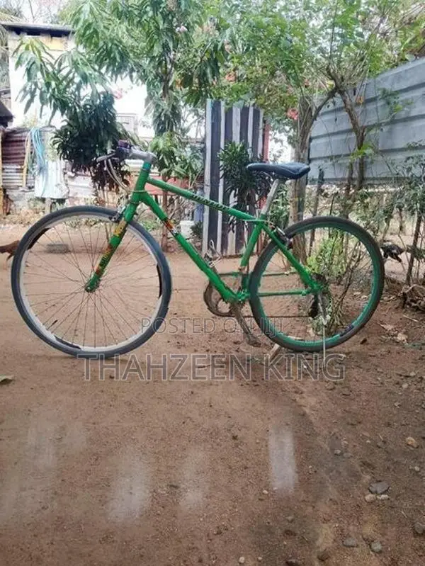 Racing Bicycle