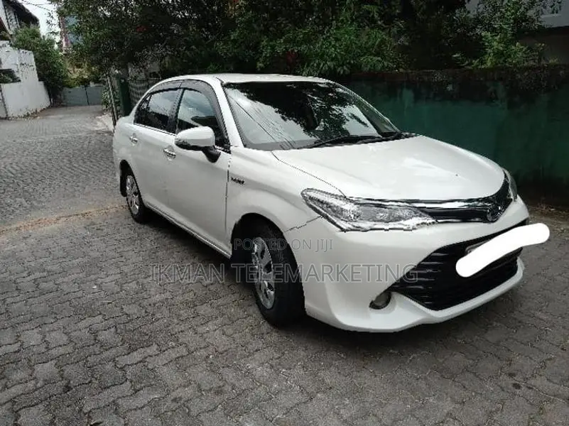 Toyota Axio G Grade 2016