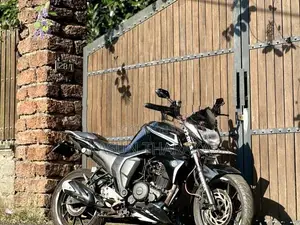 Yamaha FZs V2 2019