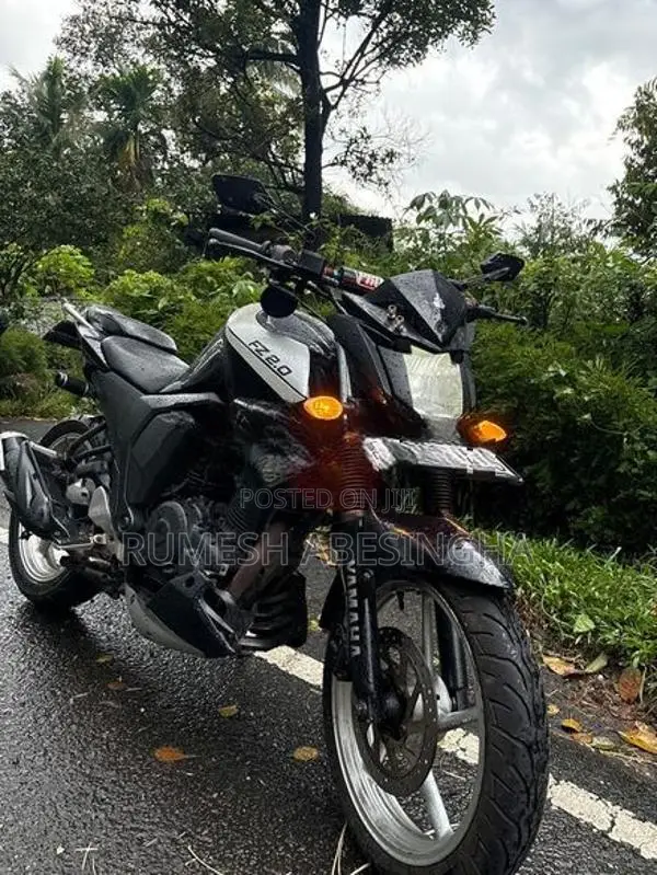 Yamaha FZ S 2017