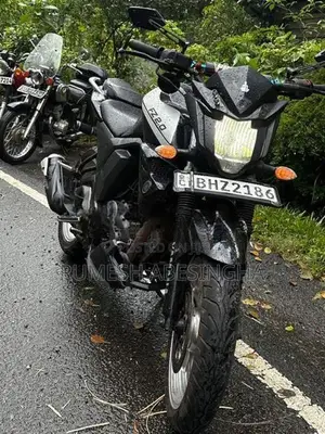 Yamaha FZ S 2017