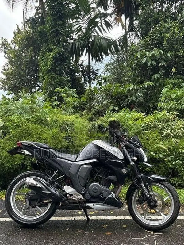 Yamaha FZ S 2017
