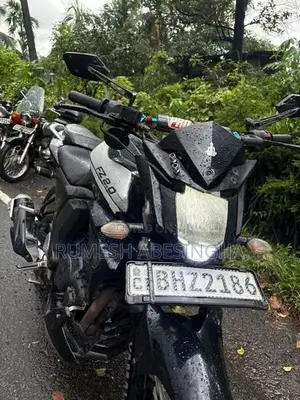 Yamaha FZ S 2017