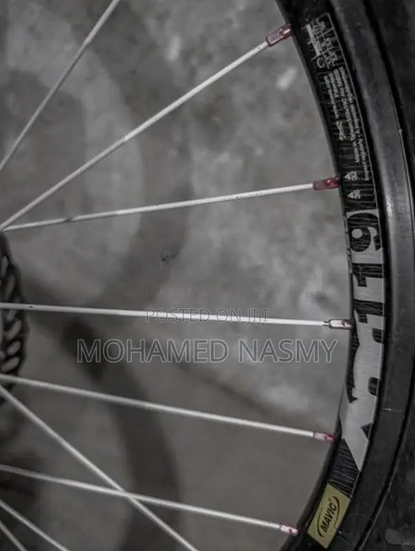 Bicycle