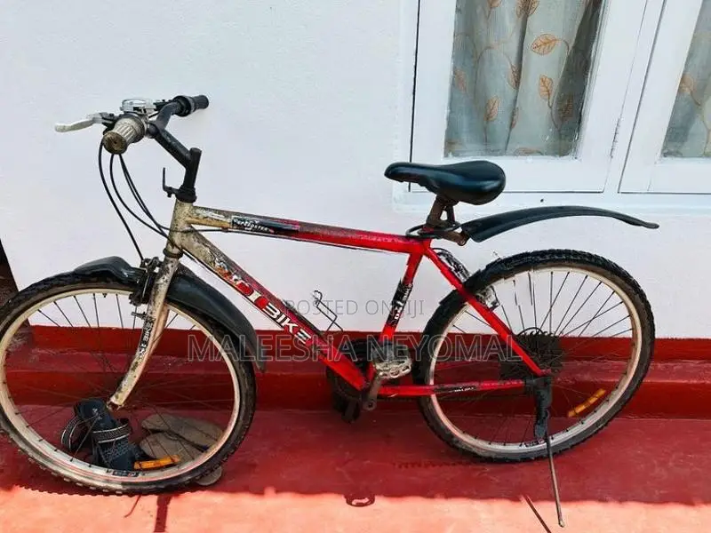 Mountain Bike