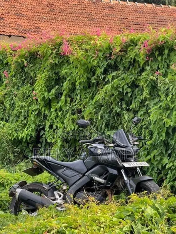Yamaha MT 15 version 1 2019