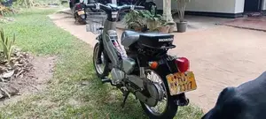 Honda Little Cub 2015