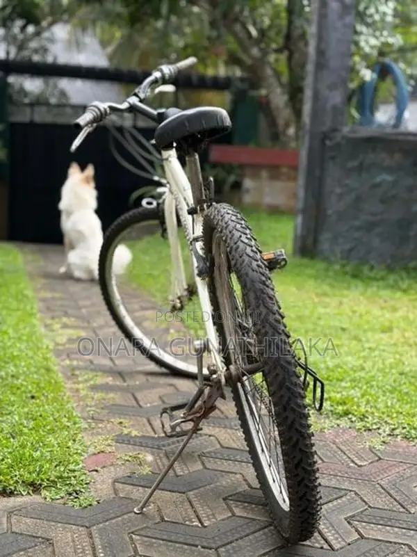 Whistler Mountain Bicycle