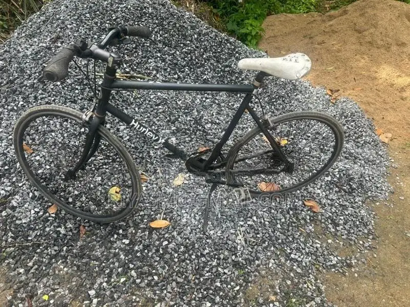 Tokyo Bicycle