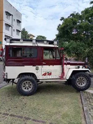 Mitsubishi J24 1973