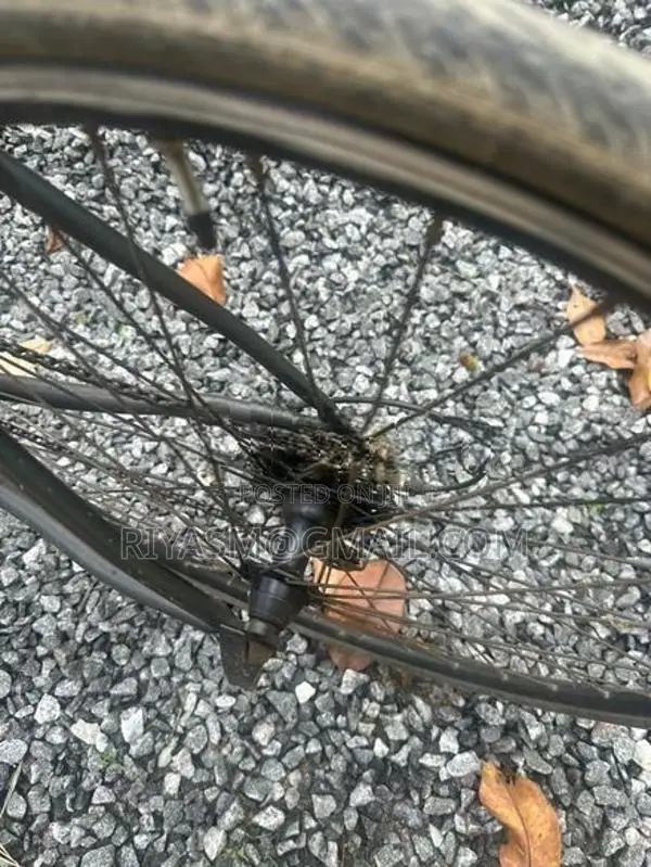 Tokyo Bicycle