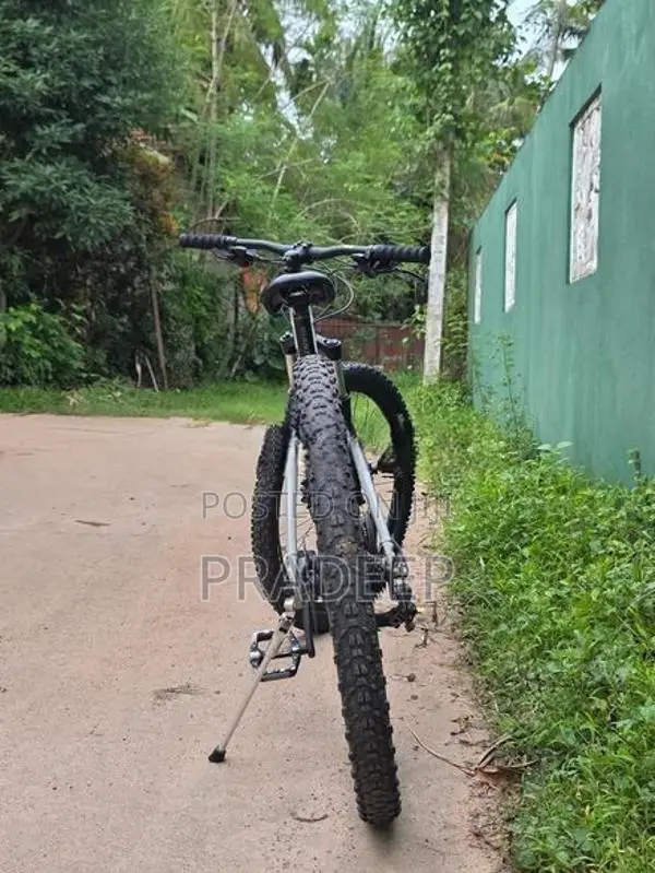 Giant Talon 3