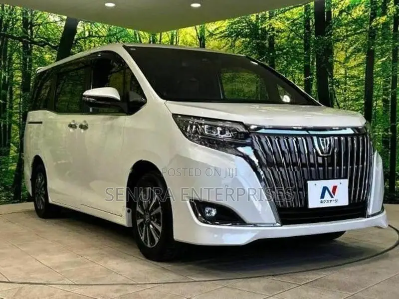 Toyota Esquire ZRR80G Front Spoiler Garnish