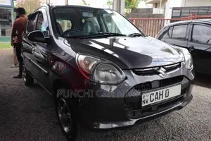 Maruti Suzuki Alto 2015