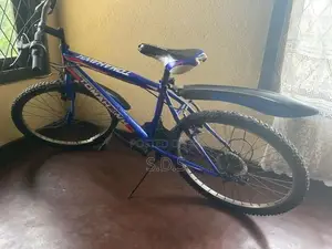 Tomahawk Bicycle