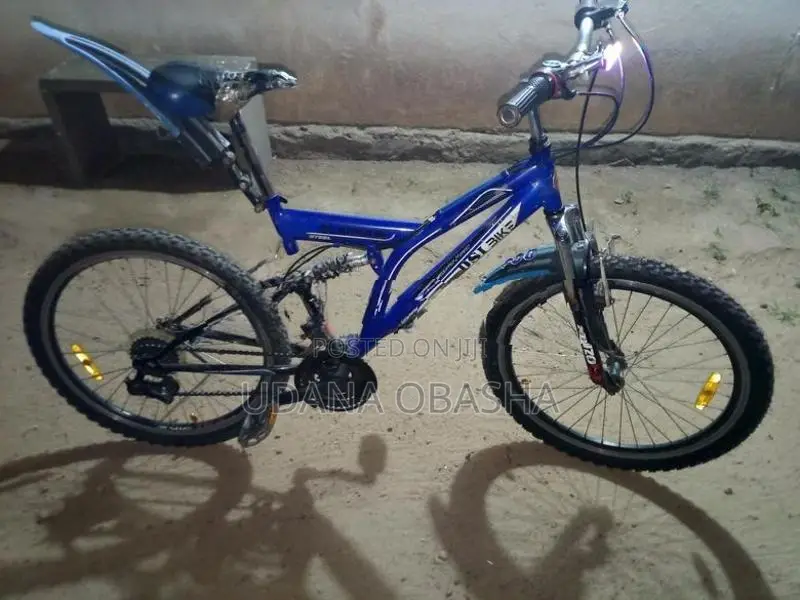 Dsi Bicycle