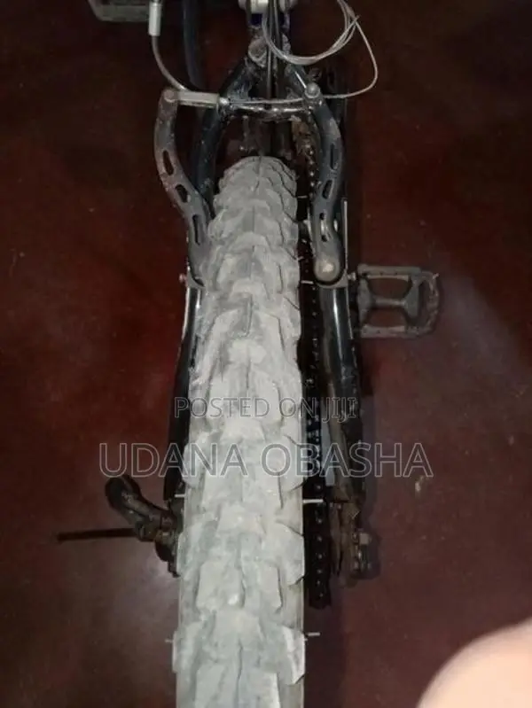 Dsi Bicycle