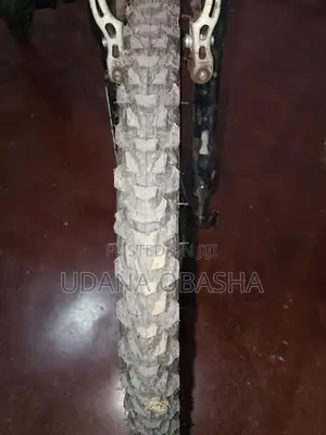 DSI Bicycle