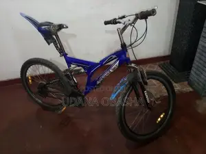 DSI Bicycle