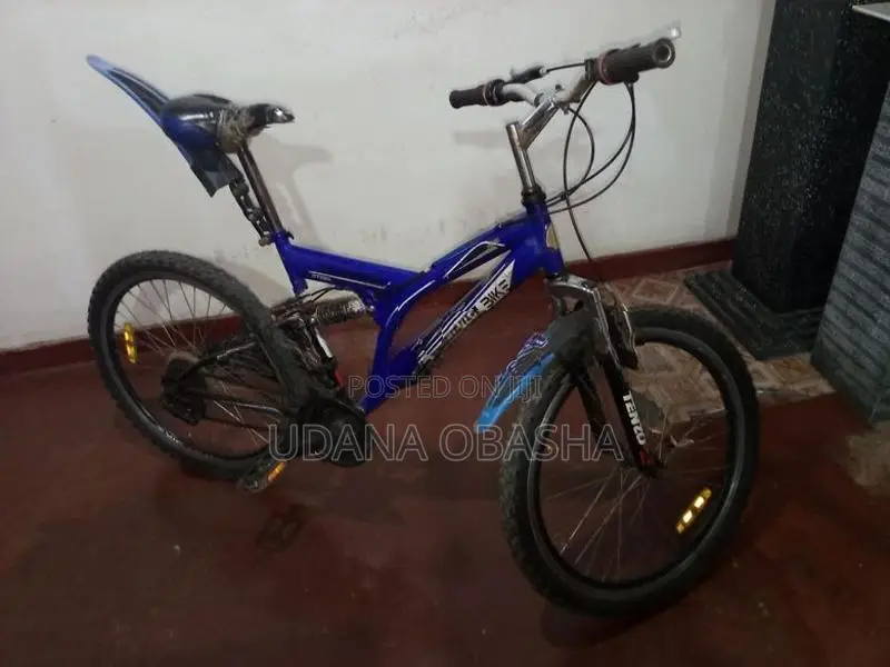 Dsi Bicycle