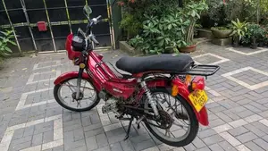 Singer Safari 2011