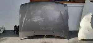 Sunny FB14 Bonnet