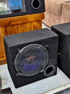 Car Subwoofer