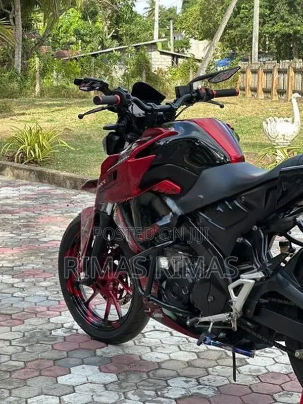 Yamaha MT 15 MT15 2019