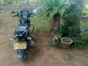 Bajaj Pulsar 180 2007
